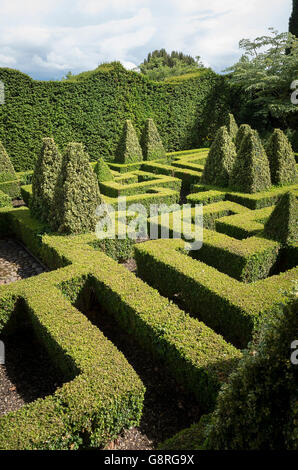 Labyrinthe géométrique composé glissé fort heding dans un pays jardin Banque D'Images