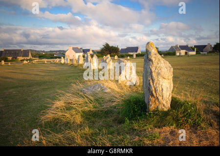 Les alignements de Lagatjar près de Camaret-sur-Mer en Bretagne, France Banque D'Images