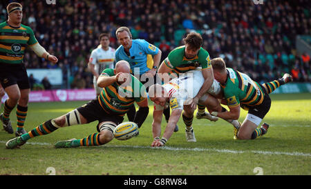 Harlequins Mike Brown perd le contrôle sur le ballon avec la ligne d'essai mendiant pendant le match Aviva Premiership aux Franklin's Gardens, Northampton. Banque D'Images