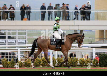 2016 Cheltenham Festival - Champion Day - Cheltenham Racecourse.Le recyclage des chevaux de course se déroule pendant la journée des champions au Cheltenham Festival 2016 de Cheltenham Racecourse. Banque D'Images