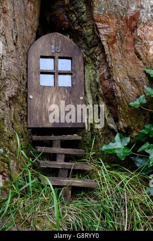 Porte de fée dans un tronc d'arbre dans les bois Banque D'Images