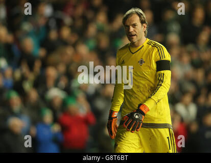 Roy Carroll, gardien de but de l'Irlande du Nord, lors d'une visite internationale au Windsor Park, Belfast. Banque D'Images