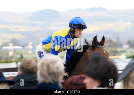 Jockey Sam Twiston-Davies sur le Mercurey pendant la Journée des Dames au Cheltenham Festival 2016 de Cheltenham Racecourse. Banque D'Images