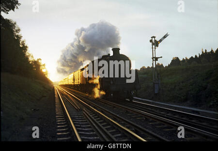 Coucher du soleil dans la forêt en tant que nouveau standard 5 têtes vers l'BR hors du soleil couchant à destination de Londres, 1966. Banque D'Images