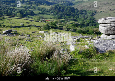 Combestone tor, un éperon rocheux dominant la vallée de Dart dans le parc national du Dartmoor. Banque D'Images