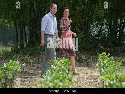 Le duc et la duchesse de Cambridge lors d'une visite du village de Pan Bari au parc national de Kaziranga, à Assam, en Inde, le quatrième jour de la tournée royale en Inde et au Bhoutan. Banque D'Images