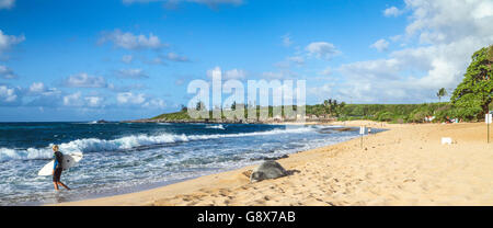 Le phoque moine hawaiien repose au sur Hookipa Beach Maui surfeur comme balades en mer Banque D'Images