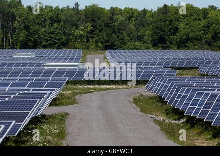 Odessa, l'Ontario, Canada. 9 juin, 2016. Un champ de panneaux solaires à Odessa, en Ontario, le 9 juin 2016. © Lars Hagberg/ZUMA/Alamy Fil Live News Banque D'Images