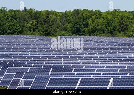 Odessa, l'Ontario, Canada. 9 juin, 2016. Un champ de panneaux solaires à Odessa, en Ontario, le 9 juin 2016. © Lars Hagberg/ZUMA/Alamy Fil Live News Banque D'Images