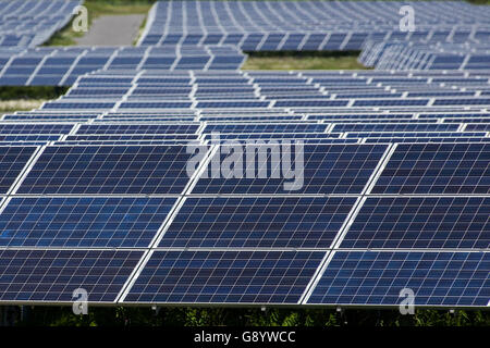 Odessa, l'Ontario, Canada. 9 juin, 2016. Un champ de panneaux solaires à Odessa, en Ontario, le 9 juin 2016. © Lars Hagberg/ZUMA/Alamy Fil Live News Banque D'Images