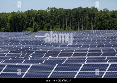 Odessa, l'Ontario, Canada. 9 juin, 2016. Un champ de panneaux solaires à Odessa, en Ontario, le 9 juin 2016. © Lars Hagberg/ZUMA/Alamy Fil Live News Banque D'Images