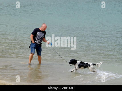 Newquay, Cornwall, UK. 1er juillet 2016. Les visiteurs de Newquay Cornwall profitez d'une journée de beau temps à venir d'une autre semaine pluvieuse. 1er juillet 2016 Crédit : MARTIN DALTON/Alamy Live News Banque D'Images