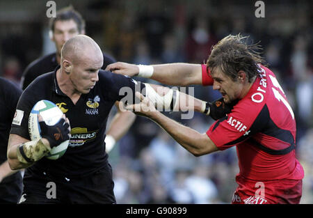 Guêpes RUGBYU Banque D'Images