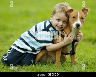 Jack Sorrell, quatre ans, avec son chien de compagnie Mia, un Staffordshire Bull Terrier de 7 mois, le mercredi 26 octobre 2005, qui l'a sauvé de blessures graves. Jack est tombé dans un trou d'homme près de sa maison à Tunbridge Wells, dans le Kent, mais a été sauvé de la chute plus loin par Mia le tenant sur sa tête. Voir PA Story ACCIDENT Dog. APPUYEZ SUR ASSOCIATION photo. Le crédit photo devrait se lire comme suit : Gareth Fuller/PA Banque D'Images