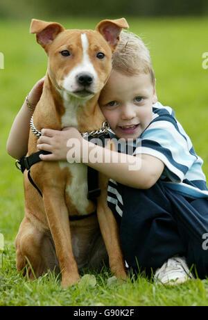 Jack Sorrell, quatre ans, avec son chien de compagnie Mia, un Staffordshire Bull Terrier de 7 mois, le mercredi 26 octobre 2005, qui l'a sauvé de blessures graves. Jack est tombé dans un trou d'homme près de sa maison à Tunbridge Wells, dans le Kent, mais a été sauvé de la chute plus loin par Mia le tenant sur sa tête. Voir PA Story ACCIDENT Dog. APPUYEZ SUR ASSOCIATION photo. Le crédit photo devrait se lire comme suit : Gareth Fuller/PA Banque D'Images