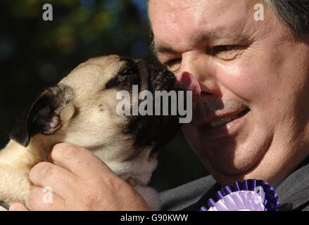 Westminster Animaux Banque D'Images