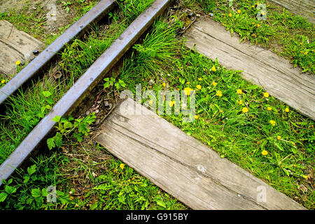 Rails de l'ordre de fleurs Banque D'Images