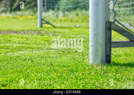 Poteau de but de soccer avec l'herbe verte. Banque D'Images