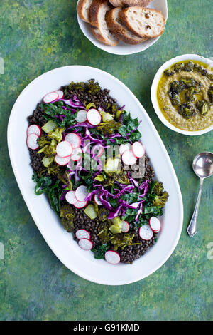 Lentilles noires Salade de brocoli Chou Brocoli carbonisés avec le pesto. Sur un vert, jaune et le fond bleu. Photographié en vue de dessus Banque D'Images