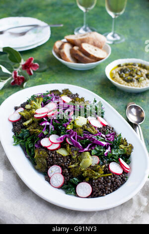 Lentilles noires Salade de brocoli Chou Brocoli carbonisés avec le pesto. Sur un vert, jaune et le fond bleu. Photographié à partir de l'avant vi Banque D'Images