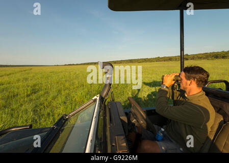 Un guide de safari en regardant les jumelles dans le parc national Zambèze du Zimbabwe en saison verte. Banque D'Images