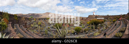 Cesar Manrique jardin de cactus Guatzia Lanzarote Iles Canaries Banque D'Images