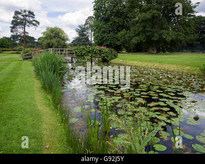 Water Lilies à Hever Castle Banque D'Images
