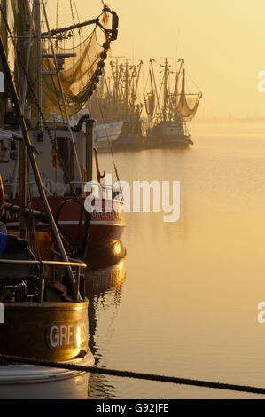 Bateaux de crevettes dans le port, Greetsiel, Basse-Saxe, Allemagne Banque D'Images