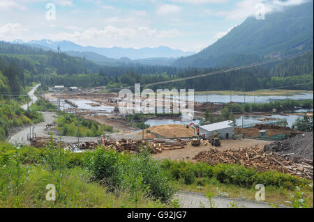 Scierie log storage avec matériel d'exploitation forestière, Telegraph Cove, l'île de Vancouver, Colombie-Britannique, Canada Banque D'Images