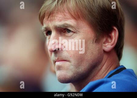 Sports Football - Coupe - JD Semi Final - Newcastle United v Benfica Banque D'Images