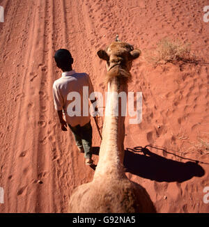 Un voyage de chameau à travers le désert de Wadi Rum, Jordanie Banque D'Images