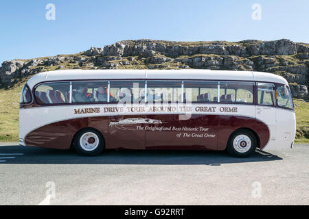 Leyland Tiger cub 1958 à corps ternaires vintage coach sur Marine Drive près au reste et être reconnaissants coffee shop Banque D'Images