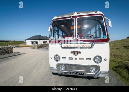 Leyland Tiger cub 1958 à corps ternaires vintage coach sur Marine Drive près au reste et être reconnaissants coffee shop Banque D'Images