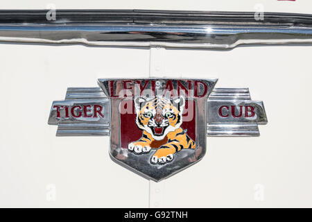 Leyland Tiger cub 1958 badge coach à corps ternaires Banque D'Images