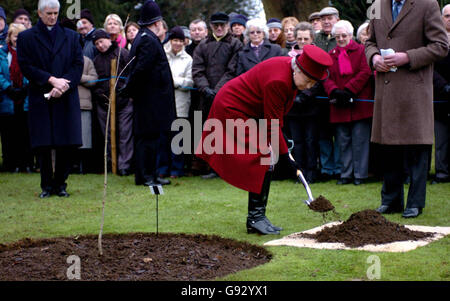 Britains la reine Elizabeth II plante un chêne dans le domaine de son domaine de Sandringham dans le cadre d'une initiative de collecte de fonds avec la cathédrale de Norwich, après avoir assisté au service du dimanche à l'église St Mary Magdalene sur le domaine, le dimanche 1er janvier 2006. PHOTO DE L'ASSOCIATION DE PRESSE photo le crédit photo doit être lu par Chris Radburn/Rota/PA Banque D'Images