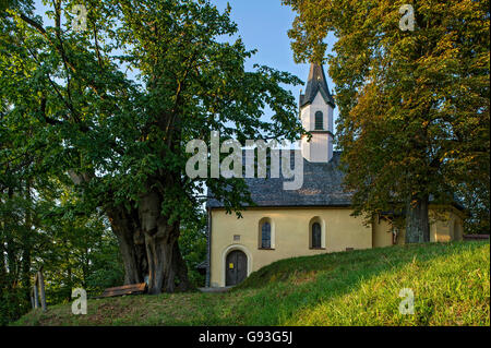 Chapelle gothique de Saint Georges, vieux chêne dans les vignobles, Markt Schliersee, Haute-Bavière, Bavière, Allemagne Banque D'Images