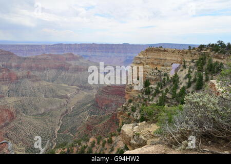 Le Nord du Grand Canyon en Arizona, l'Amérique. Banque D'Images