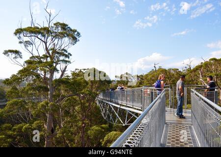 Le Danemark,WA,1,2014 Australia-October:Tree Top Walk avec passerelle surélevée et les gens dans la Vallée des Géants au Danemark, en Australie occidentale. Banque D'Images