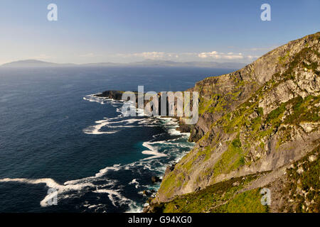 Fogher falaises, vue depuis la montagne Geokaun, Valentia Island, comté de Kerry, Irlande / côte escarpée Banque D'Images