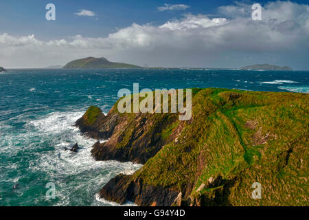 Vue d'une grande île Blasket, Dunquin, péninsule de Dingle, comté de Kerry, Irlande Banque D'Images