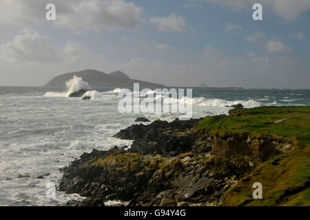 Vue d'une grande île Blasket, Dunquin, péninsule de Dingle, comté de Kerry, Irlande Banque D'Images