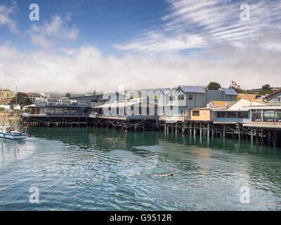 Fisherman's Wharf de Monterey en Californie Harbour Banque D'Images