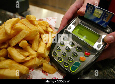 Pin d’argent Banque D'Images