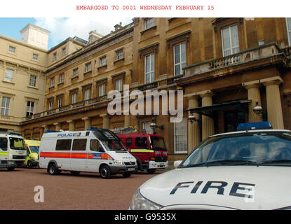 Des véhicules d'intervention d'urgence se rassemblent dans le quadrilatère de Buckingham Palace, dans le centre de Londres, le mardi 14 février 2006. Des véhicules d'intervention d'urgence ont été mis en place pour se rassembler au palais avant la réception des services d'urgence et d'intervention en cas de catastrophe de demain qui se tiendra au palais de Buckingham sur invitation de la reine Elizabeth II APPUYEZ SUR ASSOCIATION photo. Le crédit photo devrait se lire comme suit : Johnny Green/WPA Rota/PA. Banque D'Images