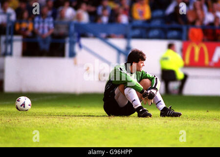 Soccer - FA Premiership Carling - Sheffield Wednesday v Coventry City Banque D'Images