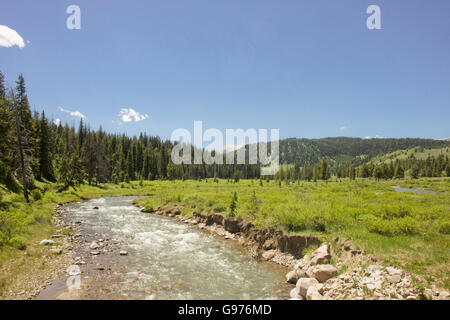 Taylor Creek, dans la forêt nationale de Gallatin, près de Bozeman, Montana. Banque D'Images