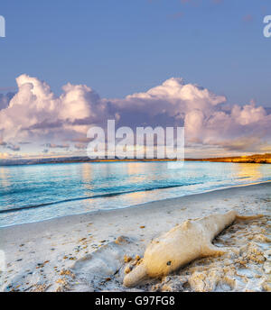 Statue de sable Dolphin sous un ciel nuageux au coucher du soleil. Tourné à Alghero, Italie. Banque D'Images