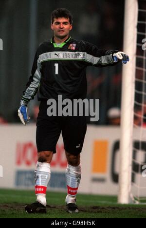 Football - amical - Hollande / République tchèque. Pavel Srnicek, gardien de but de la République tchèque Banque D'Images