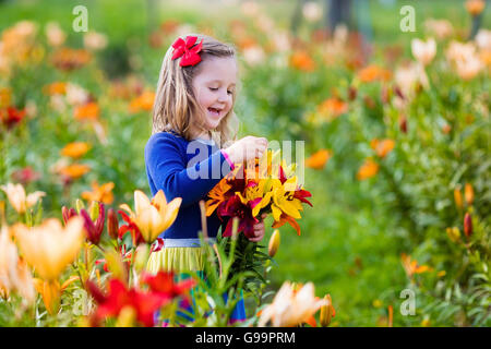 Cute little girl picking lily flowers blooming jardin d'été. Enfant tenant bouquet de lys en fleur magnifique domaine. Banque D'Images