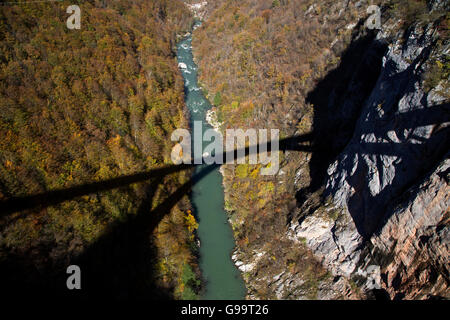 Durdevica Tara, pont et rivière Tara, Monténégro Banque D'Images